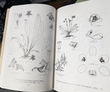 Orchids of Venezuela books, An Illustrated Field Guide, Very Good Condition