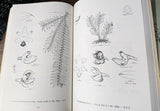 Orchids of Venezuela books, An Illustrated Field Guide, Very Good Condition