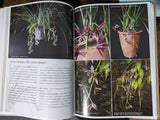 Heat Tolerant Cymvbidiums - Hardcover Book - Used in good condition