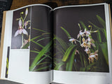 Heat Tolerant Cymvbidiums - Hardcover Book - Used in good condition