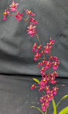 Oncidium Tariflor Lady (4"p)