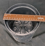 Plastic pots 6", black, package of 25, new