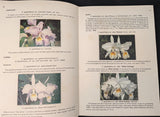 Monography of Venezuelan Cattleyas and its varieties, Carlo Aulisi ad Ernesto Foldats. Used in good condition.